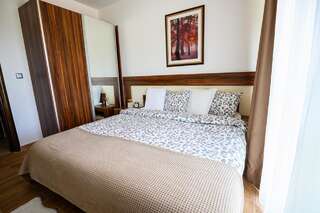 Апарт-отели Balkan Jewel Resort & Chalets Банско Апартаменты с 1 спальней-2